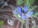 DSCN3317