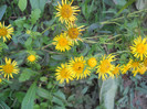DSCN3319