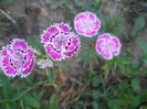 DSCN3318