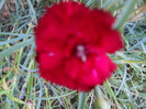 DSCN3320