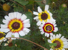 DSCN3323