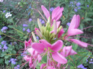 DSCN3326