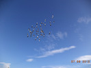 DSC01376