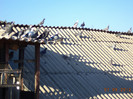 DSC01397