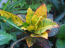 DSCN3328