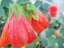 DSCN3331