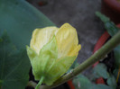 DSCN3332