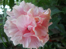 DSCN3333