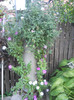 DSCN3348