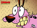 Courage-the-Cowardly-Dog-courage-the-cowardly-dog-21181034-1024-768