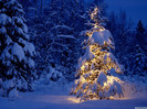 Merry-Christmas-christmas-9427475-1600-1200