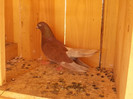 DSCN0793