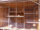 DSCN0804