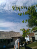 IMAG0308