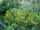 P7037588
