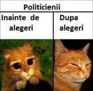 558260_223838791076133_1293168188_n