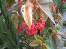 DSCN3355