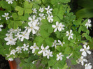DSCN3358