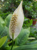 DSCN3359