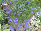 DSCN3360