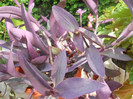 DSCN3363