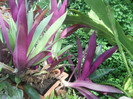 DSCN3364