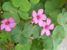 DSCN3367