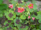 DSCN3368