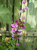 DSCN3373