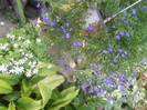 DSCN3378
