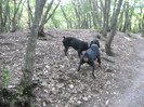 DSCN0155