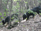 DSCN0157