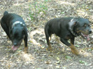 DSCN0169