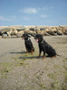 DSCN0181