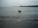 DSCN0192