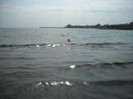 DSCN0199