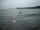 DSCN0201