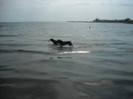 DSCN0204