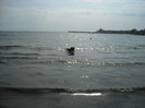 DSCN0207