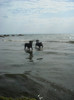 DSCN0213