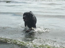 DSCN0218