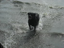 DSCN0220