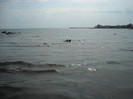 DSCN0221