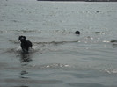 DSCN0222