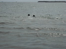 DSCN0224