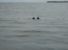 DSCN0226