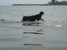 DSCN0229