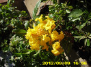2012-07-08 317