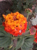 DSC01853