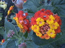 DSC01854
